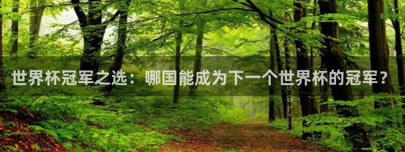 世界杯预选赛亚洲区赛程：世界杯冠军之选：哪国能成为下一个世界杯的冠军？