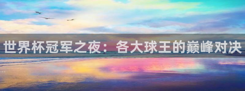 世界杯球队：世界杯冠军之夜：各大球王的巅峰对决
