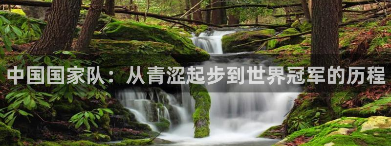 世界杯2026赛程时间表格：中国国家队：从青涩起步到世界冠军的历程