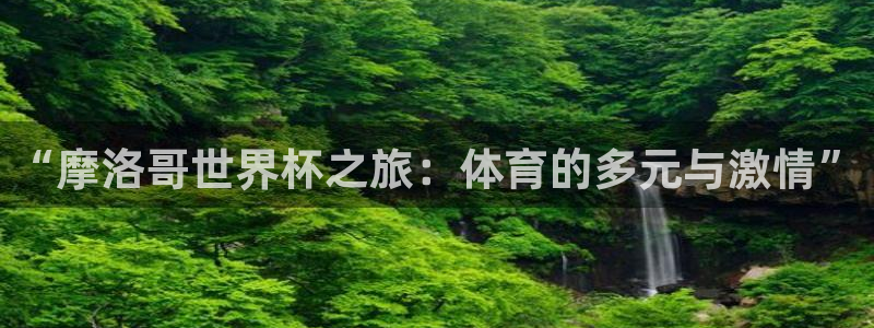 世界杯欧洲区预选赛：“摩洛哥世界杯之旅：体育的多元与激情”