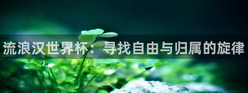 世界杯亚洲区预选赛积分榜：流浪汉世界杯：寻找自由与归属的旋律