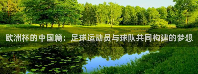 今年世界杯：欧洲杯的中国篇：足球运动员与球队共同构建的梦想
