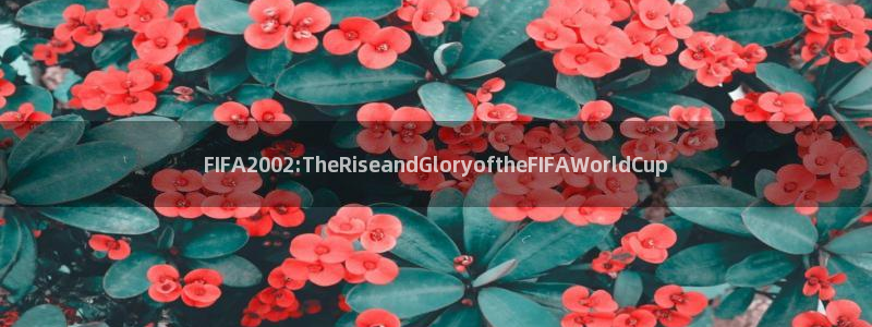世界杯足球2026：FIFA2002:TheRiseandGloryoftheFIFAWorldCup