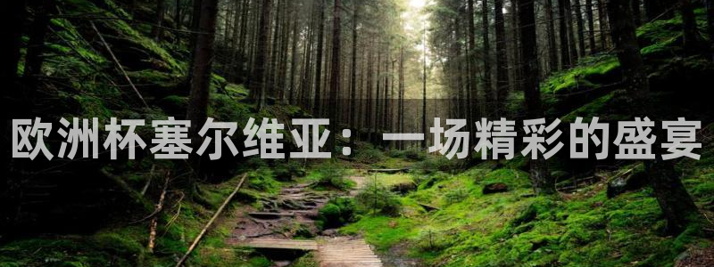 世预赛欧洲赛程表：欧洲杯塞尔维亚：一场精彩的盛宴