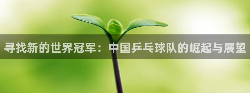 2026世预赛赛程：寻找新的世界冠军：中国乒乓球队的崛起与展望