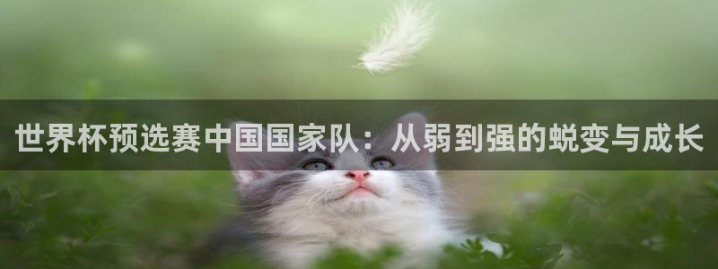 世界杯球赛：世界杯预选赛中国国家队：从弱到强的蜕变与成长