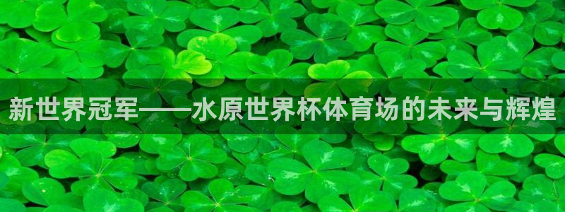 世界杯：新世界冠军——水原世界杯体育场的未来与辉煌