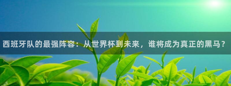 2026世界杯亚洲区预选赛：西班牙队的最强阵容：从世界杯到未来，谁将成为真正的黑马？