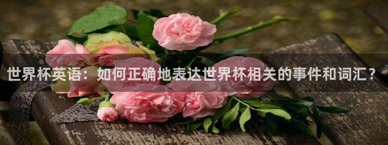 世界杯：世界杯英语：如何正确地表达世界杯相关的事件和词汇？